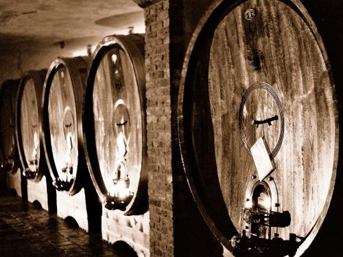 a row of wine barrels in a cellar at Casa Sobrero in Castiglione Falletto