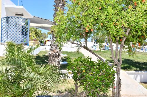 a garden with orange trees in front of a house at 1-Bedroom Kos Olympia Apartment at Lambi Beach in Lampi