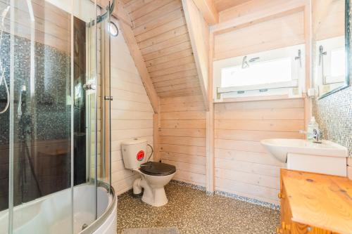 a bathroom with a toilet and a sink and a shower at Puszczykowo in Stegna