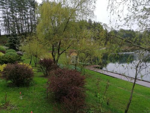 a garden with a pond and trees and a grass field at Svečių namai ALDAIVITA in Ignalina