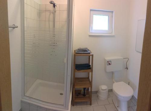 a bathroom with a shower and a toilet at Ferienwohnung Magdalena in Hohnstein