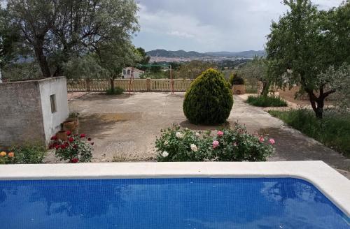 a swimming pool in front of a yard with flowers at Casa de Pascual in Yecla