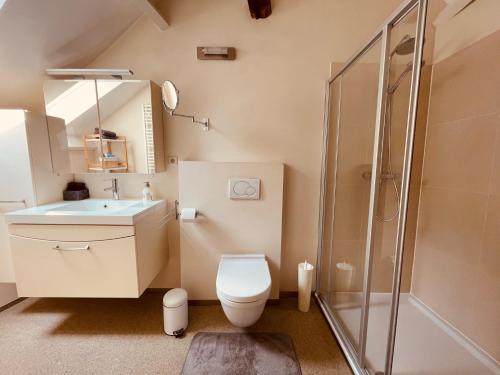 een badkamer met een toilet, een wastafel en een douche bij Gallo Appartement & Duplex Tongeren centrum in Tongeren