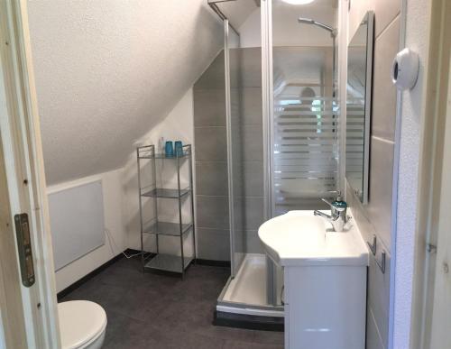 a bathroom with a shower and a sink and a toilet at Ferienwohnung Julia in Hohnstein