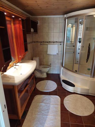 uma casa de banho com um lavatório, um chuveiro e um WC. em Lille Øye Rest Aparment Nøtterøy em Nøtterøy