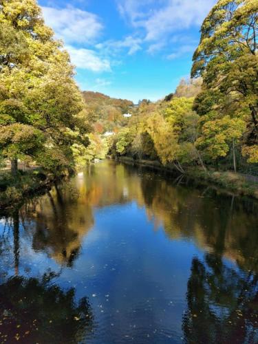 Painter's Cottage – Photos 4