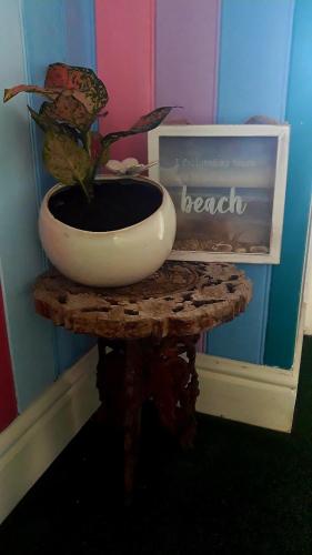 Φωτογραφία από το άλμπουμ του Blue Room Hostel Newquay σε Newquay