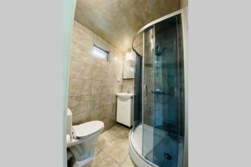 a bathroom with a toilet and a glass shower at Cabin by the river Dubysa! in Ariogala