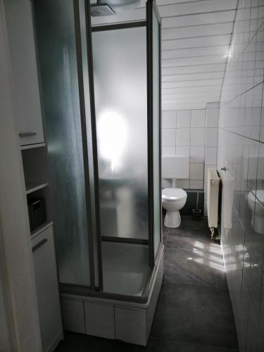 a bathroom with a glass shower and a toilet at Ferienwohnung Benz in Klingenmünster