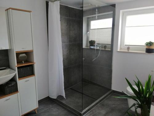 eine Dusche mit Glastür im Bad in der Unterkunft Ferienwohnung Benz in Klingenmünster