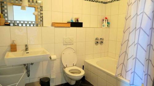 a bathroom with a toilet and a sink at Boardinghouse am Rosensee in Aschaffenburg