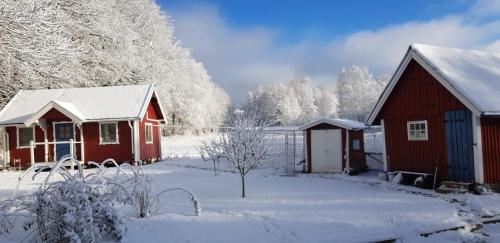 Lill Hagahus, Söderåsens Nationalpark durante el invierno