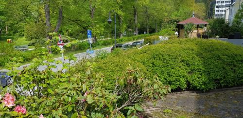 a street with cars parked on the side of a road at Villa Hoffnung in Bad Elster