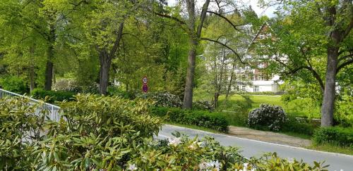 a road in a park with trees and bushes at Villa Hoffnung in Bad Elster
