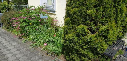 a garden of flowers and plants next to a building at Villa Hoffnung in Bad Elster