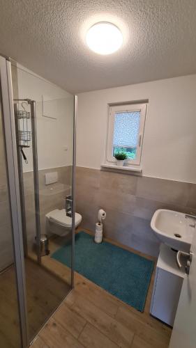 a bathroom with a shower and a toilet and a sink at Seenadel in Gelbensande