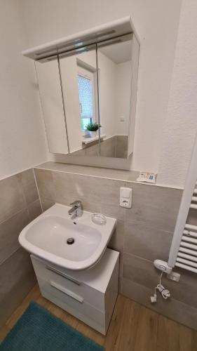a bathroom with a sink and a mirror at Seenadel in Gelbensande