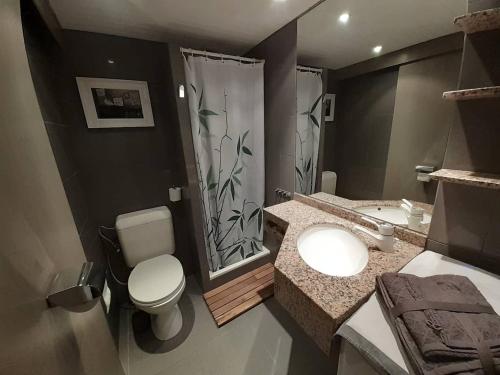 une salle de bain avec toilettes, lavabo et douche dans l'établissement studio quartier calme centre ville vue mont Blanc, à Chamonix-Mont-Blanc