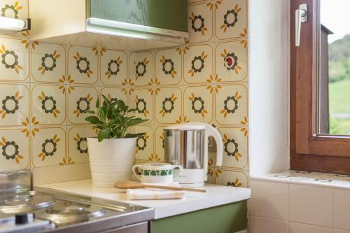 a kitchen with a counter with a plant on it at Ferienwohnung 2 Vikoler in Vols am Schlern