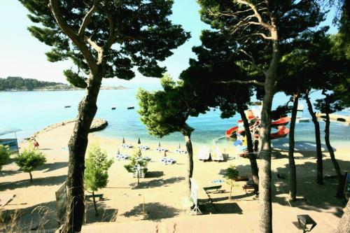 Apartment ROSE, CLOSE TO THE BEACH