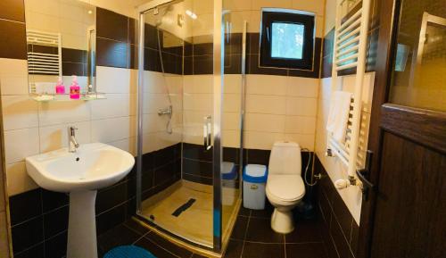 ヴァトラ・ドルネイにあるCasa Lupascuのバスルーム(洗面台、トイレ、シャワー付)