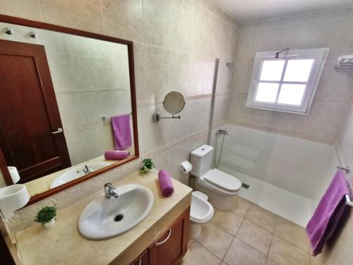 een badkamer met een wastafel, een toilet en een spiegel bij Vv JARA in Caleta De Fuste