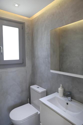 a bathroom with a toilet and a sink and a window at Harma Villas in Andros