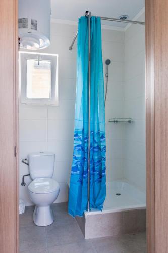 a bathroom with a toilet and a blue shower curtain at Villa Solomare in Zatoka