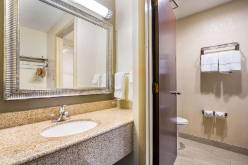 a bathroom with a sink and a mirror and a toilet at Quality Inn & Suites Florence - Cincinnati South in Florence
