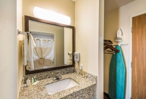 Ένα μπάνιο στο Quality Inn & Suites Eldridge Davenport North