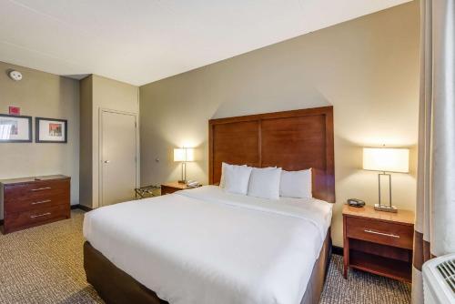 a hotel room with a bed, chair, and nightstand at Comfort Suites Chicago O'Hare Airport in Schiller Park