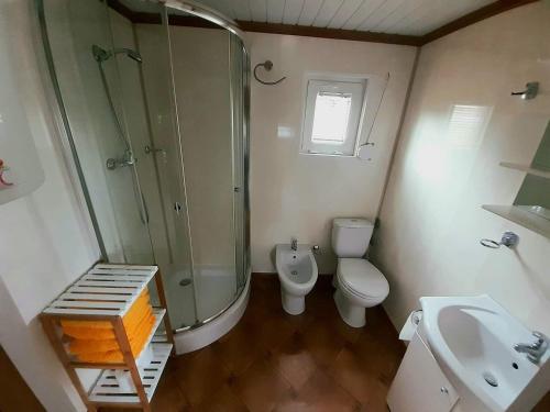 a bathroom with a shower and a toilet and a sink at Twój wypoczynek in Augustów