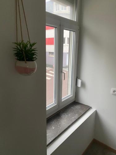 a window with a potted plant sitting on a window sill at Studio Bohème in Boulogne-sur-Mer