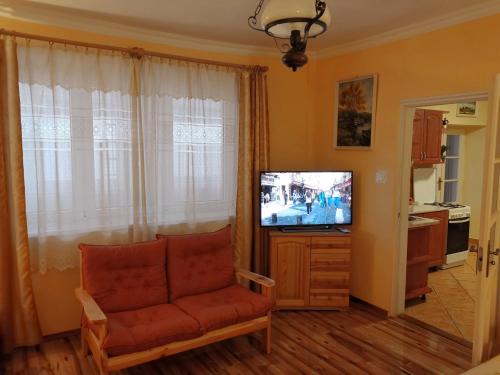 sala de estar con sofá y TV de pantalla plana en Viktor Vendégház, en Tokaj