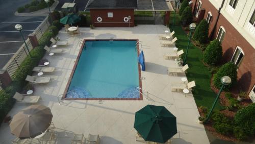an overhead view of a swimming pool with chairs and umbrellas at Holiday Inn Express & Suites - Tuscaloosa-University by IHG in Tuscaloosa