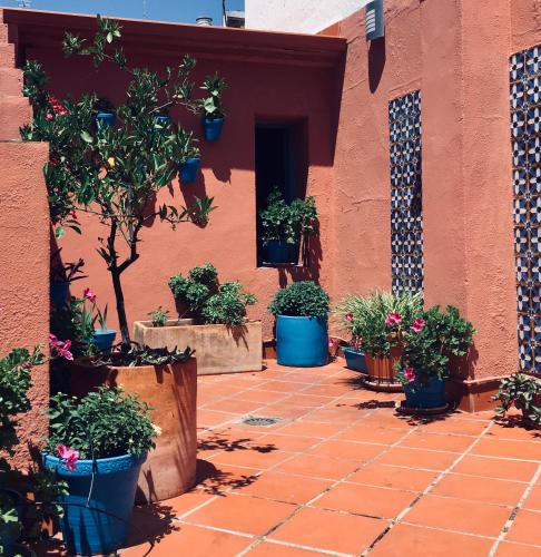 Zahrada ubytování Hotel Conde de Cárdenas