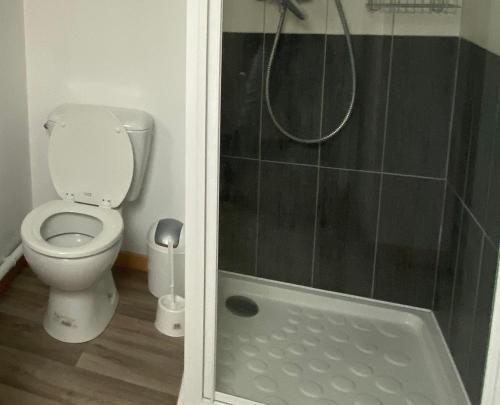 une salle de bain avec toilettes et douche dans l'établissement Studio Vieille Ville, à Boulogne-sur-Mer