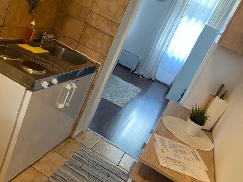 een kleine keuken met een wastafel en een douche bij Rover Apartment in Wenen