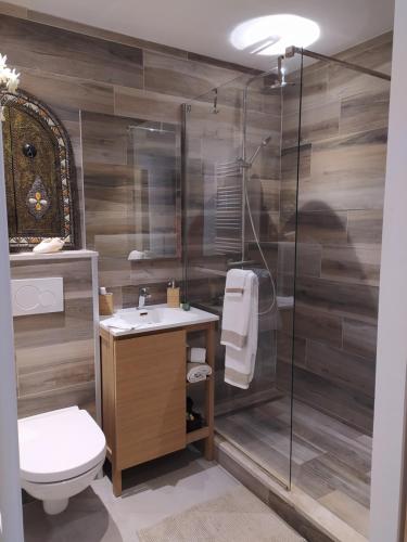 ein Bad mit einer Dusche, einem WC und einem Waschbecken in der Unterkunft Golfe Paradis in Vallauris
