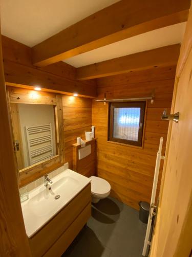 uma casa de banho com um lavatório branco e um WC. em LE PASSE-MONTAGNE Bel appartement avec terrasse dans vieille ferme de montagne rénovée em Les Orres