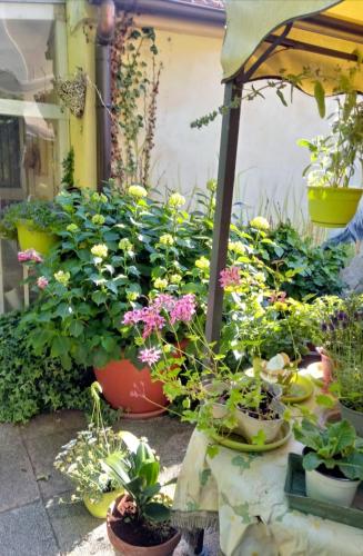 Zahrada ubytování Bed And Breakfast Di Manu