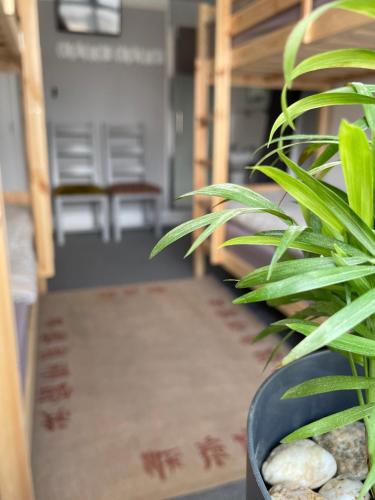 Gambar di galeri bagi Breakers Guest House di Newquay