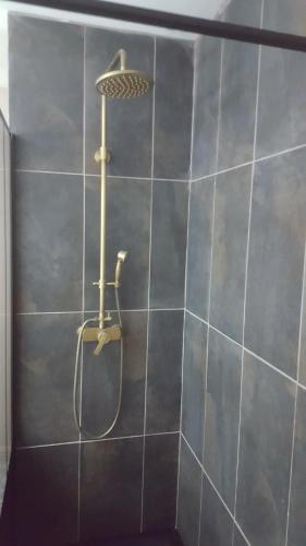 a shower with a shower head on a tiled wall at Appartement spacieux et atypique in Sedan