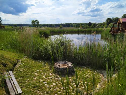 a pond with a basket in the middle of a field at #MazuryWildLife in Giżycko