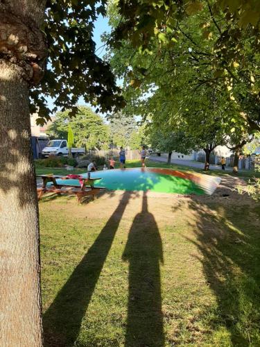 a shadow of a person standing in a park at Chata Salicka Bozkov in Bozkov