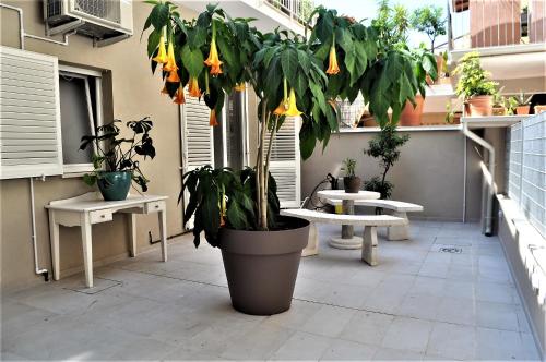 Appartamento Fontanella 32 – Photos 2