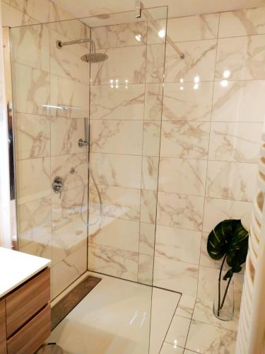 une douche avec une porte vitrée dans une salle de bain dans l'établissement Le 14 - Style Scandinave with Parking, à Niort
