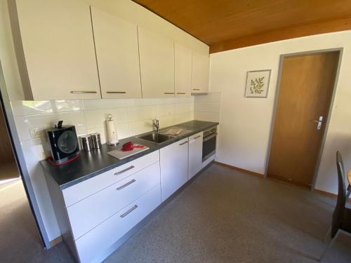 Η κουζίνα ή μικρή κουζίνα στο Apartments Carmena
