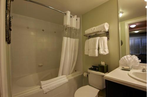 a bathroom with a shower and a toilet and a sink at The Mutiny Luxury Suites Hotel in Miami