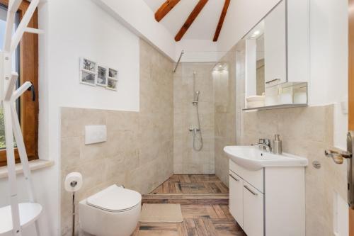 a bathroom with a toilet and a sink and a shower at Villa Oasa in Malinska